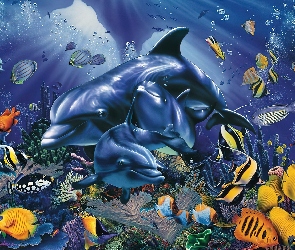 Rafa, Ocean, Ryby, Koralowa, Delfiny