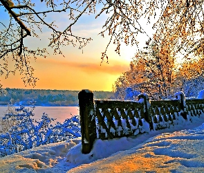 Drzewa, Śnieg, Zachód, Słońca