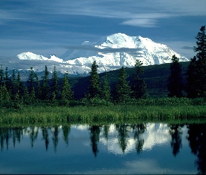 Drzewa, Alaska, McKinley, Góra, Jezioro