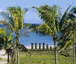 Wyspa Wielkanocna, Morze, Trawa, Palmy, Chile