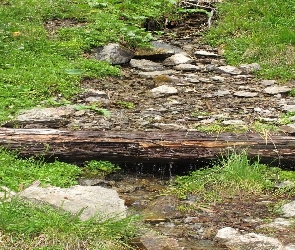 Kamienie, Kłoda, Strumyk