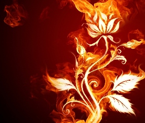 Ogień, Kwiat