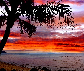 Morze, Zachód Słońca, Palma