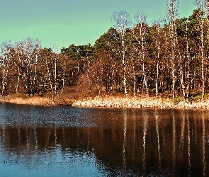 Las, Przedwiośnie
, Jezioro