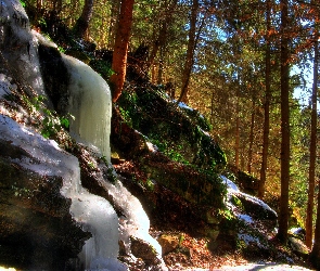 Zamarznięty, Wodospad, Las