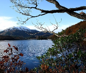 Jezioro, Lasy, Góry