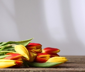Tulipany, Kolorowe