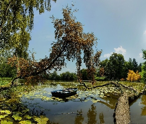 Drzewa, Łódz, Lato, Staw