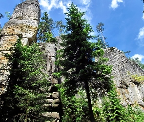 Skalne Miasto, Drzewa, Czechy, Adrspach, Skały