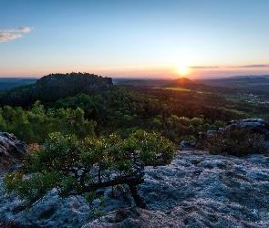 Las, Skały, Zachód, Słońca