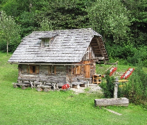 Las, Łąka, Domek
