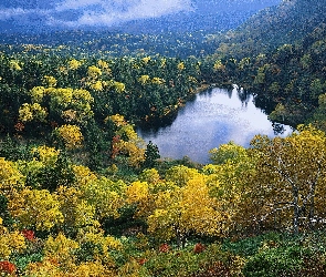 Jesień, Wisconsin, Jezioro, Lasy