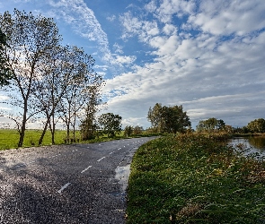 Droga, Pobocze