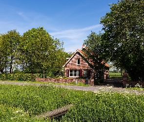 Kladka, Drzewa, Domek, Droga