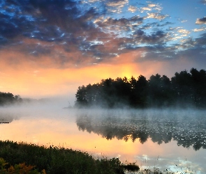 Rzeka, Lasy, Mgła