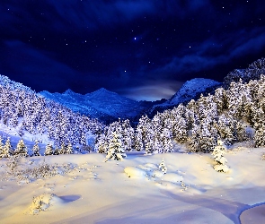 Noc, Śnieg, Góry, Las