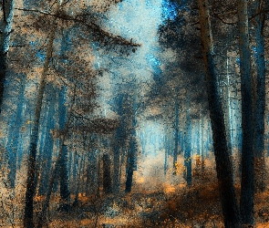 Las, Drzewa, Przebijające Światło