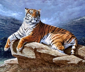 Tygrys, Skały