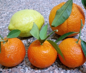 Pomarańcze, Cytryna, Owoce, Cytrusowe
