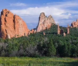 Skały, Colorado, Drzewa