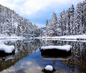 Las, Śnieg, Rzeka