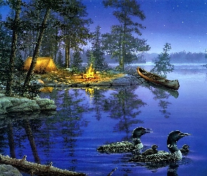 Jezioro, Kanu, Biwak, Kaczki, Noc