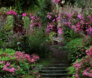 Ogród, Schody, Kwiaty
