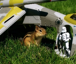 Chipmunk, Trawa