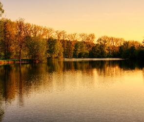 Drzewa, Park, Jezioro