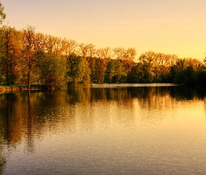 Drzewa, Park, Jezioro