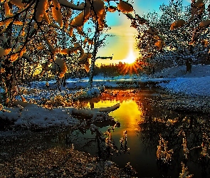 Słońca, Woda, Śnieg, Drzewa, Zachód