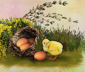 Jajka, Wielkanoc, Kurczaczek