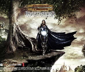 Dragonshard, postać, drzewo, peleryna, zamek, kobieta