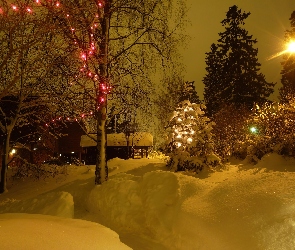 Drzewa, Oświetlone, Zima, Dom