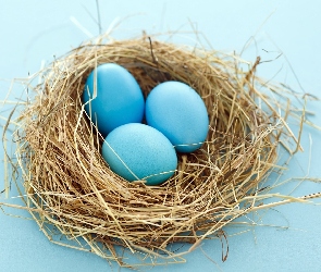 Jajeczka, Niebieskie, Ptasie, Gniazdo