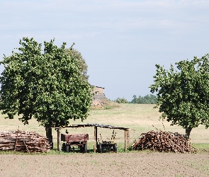 Wieś, Polska