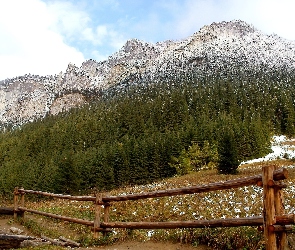 Zimą, Las, Góry