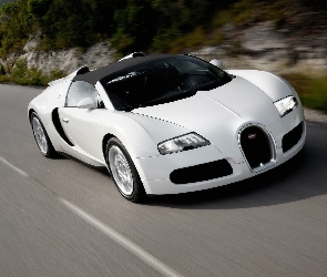 Bugatti Veron, Białe