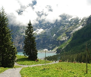 Świerki, Chmury, Góry, Jezioro
