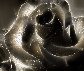 Róża, Ciemna