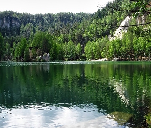 Świerki, Las, Adrspach, Czechy, Skalne Miasto, Skały