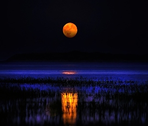 Noc, Księżyc, Jezioro