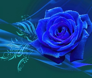 Niebieska, Grafika, Róża