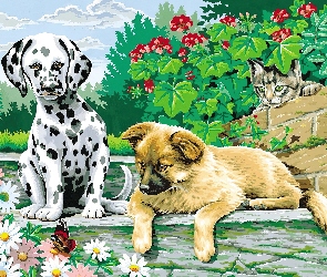Psy, Kwiaty, Kot, Dalmatyńczyk, Dwa