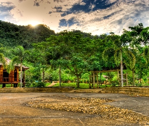 Plac, Drzewa, Park, Altanki