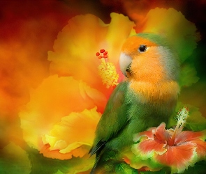 Papuga, Hibiskus, Kwiaty