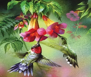 Kolibry, Kwiaty, Dwa