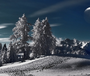 Noc, Śnieg, Drzewa, Księżyc, Góry