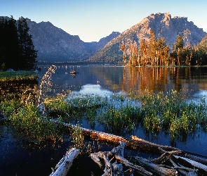 Góry, Wyoming, Jackson, Roślinność, Jezioro