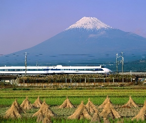 Shinkansen, Pociąg Elektryczny